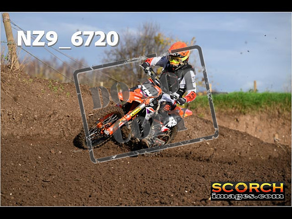 Experts-133