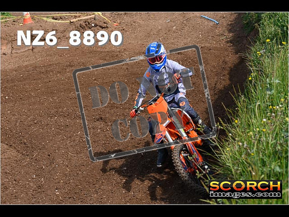 IntersGreen-049