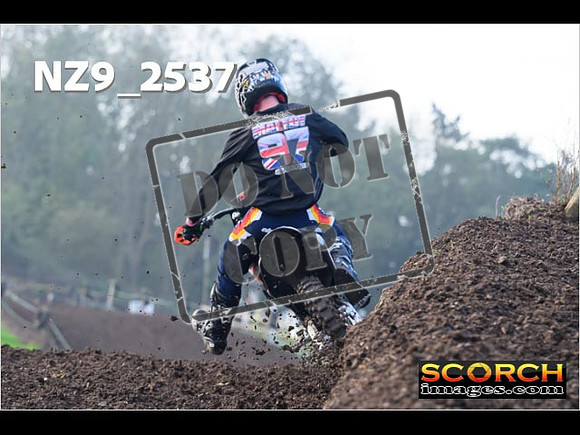 Experts-124