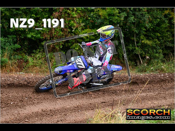 Experts-070