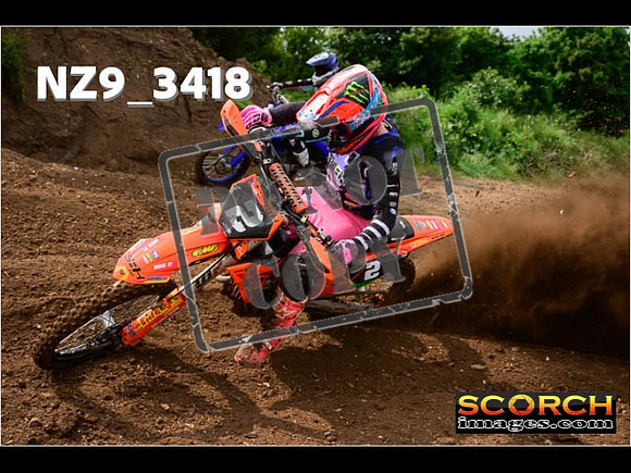 Experts-051