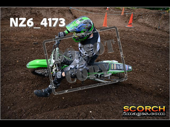 Green Group-125