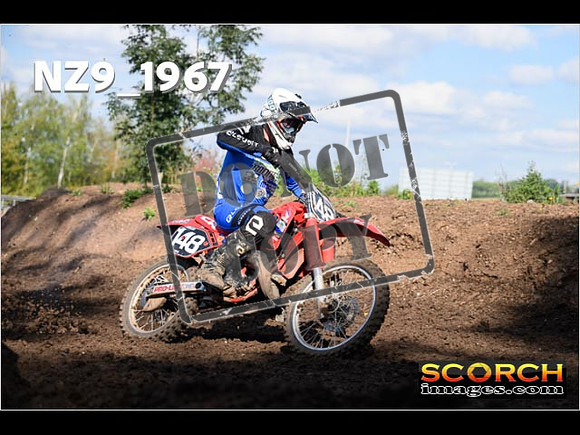 Experts-310