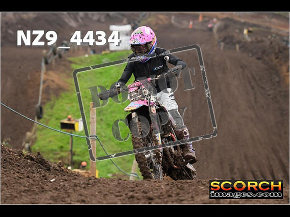 Experts-275