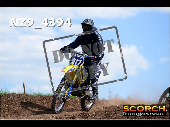 InterGreen-293
