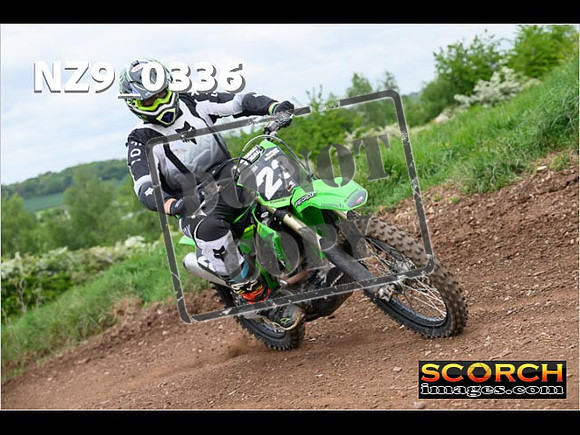 IntersGreen-280