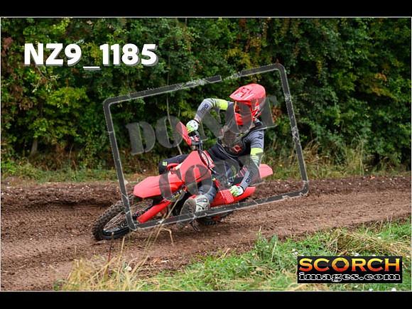 Experts-064