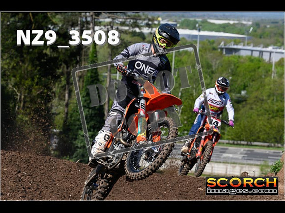 Experts-113