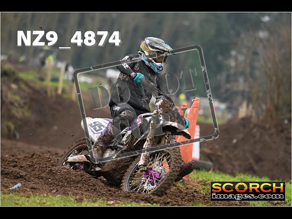 Experts-349