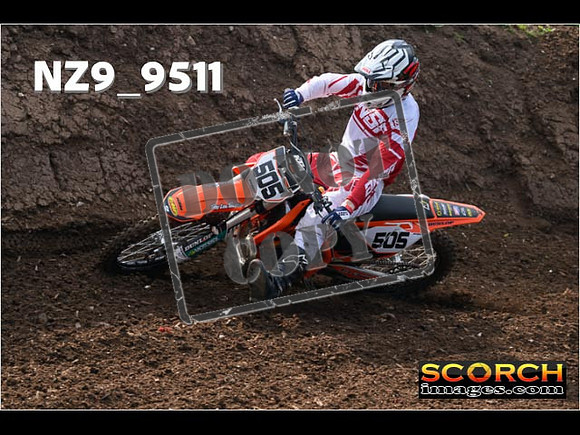 Experts-033