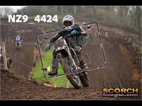 Experts-266