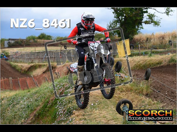 InterGreen-043