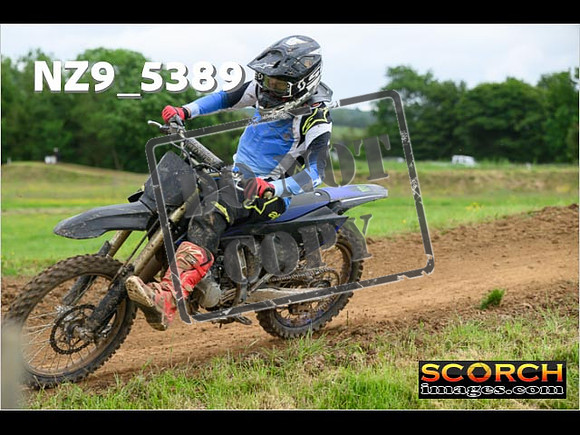 Experts-324