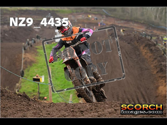 Experts-276