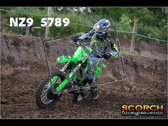 Experts-046