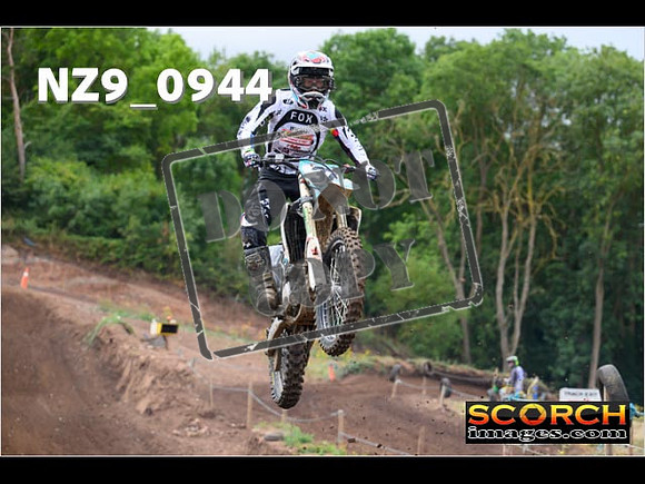 IntersGreen-067