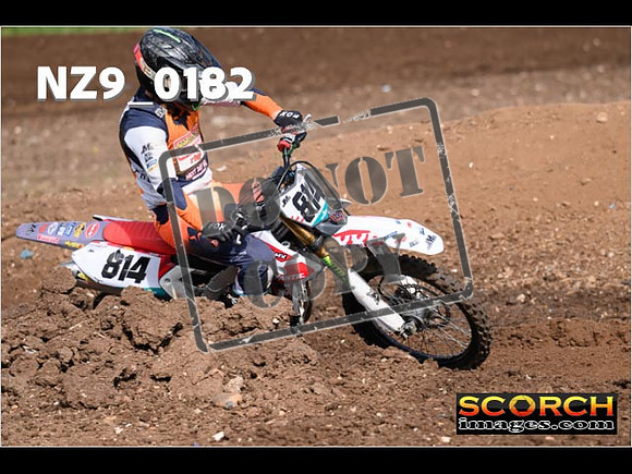 Experts-121