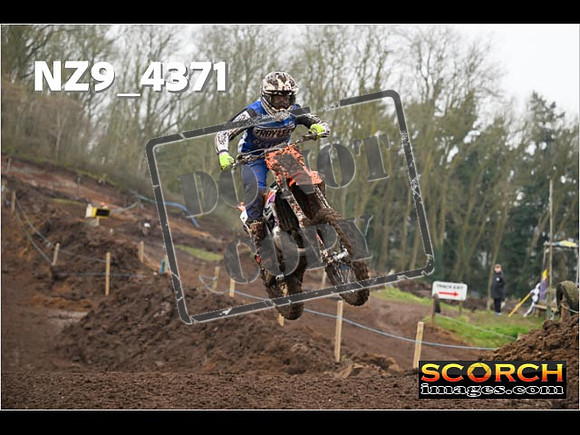 Experts-217