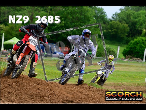 Novice-274