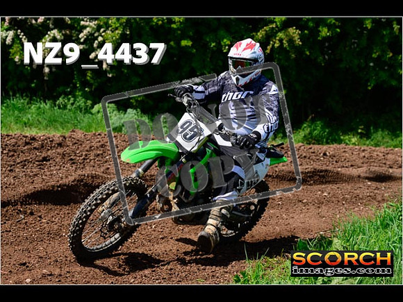 InterGreen-335