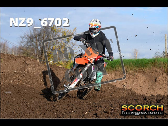 Experts-116