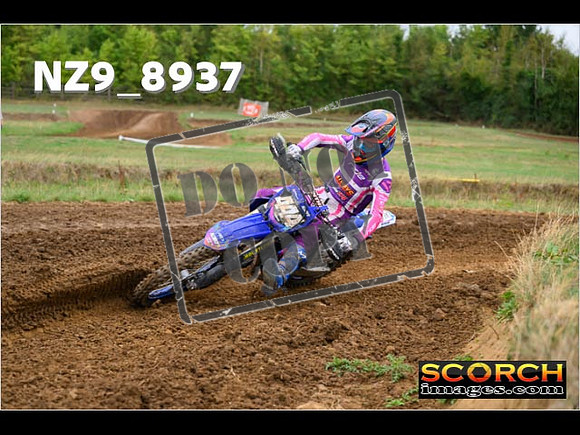 Experts-153