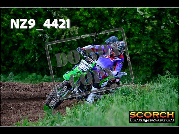 InterGreen-320