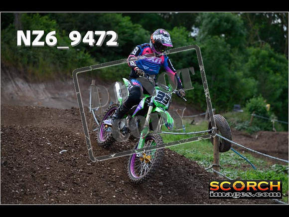 Experts-236