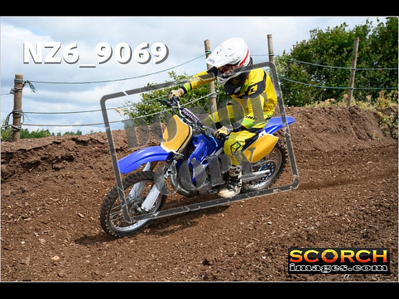 Experts-134