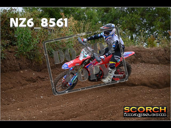 Experts-081