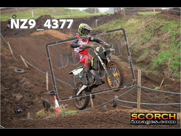 Experts-223