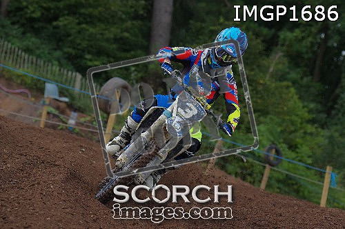 IMGP1686