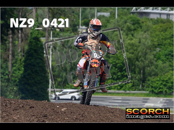 Orange Group-011