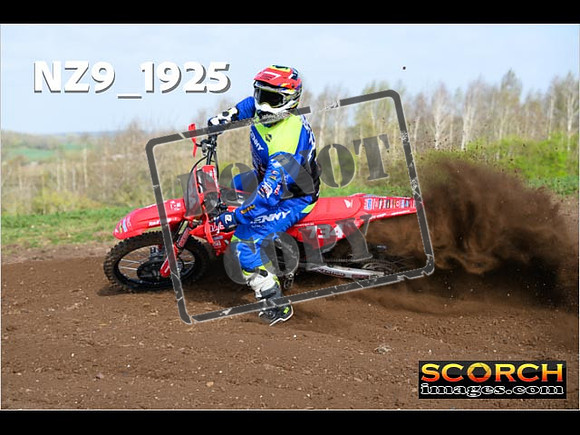 Experts-065