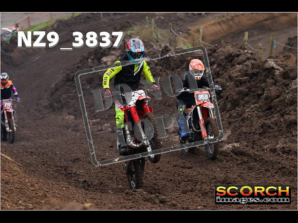 Experts-033
