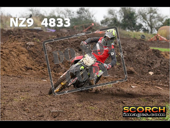 Experts-309