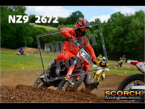 Novice-261