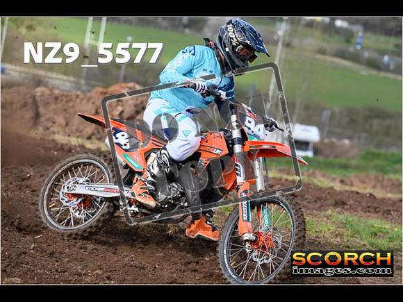 Experts-085
