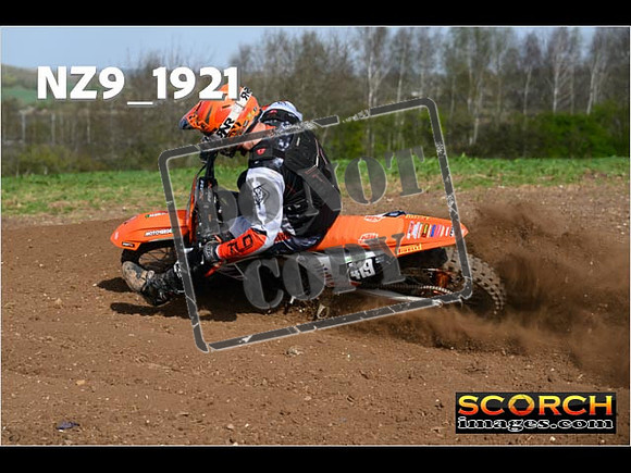 Experts-061