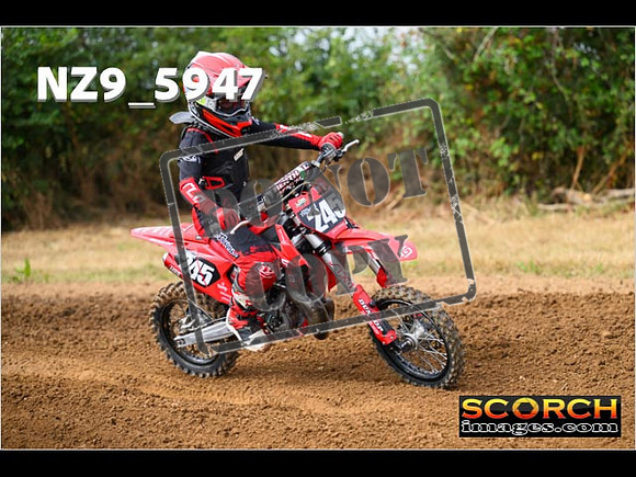 Auto 65-018
