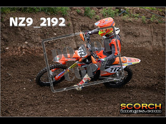 Inters GreenOrange-002