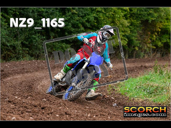 Experts-046