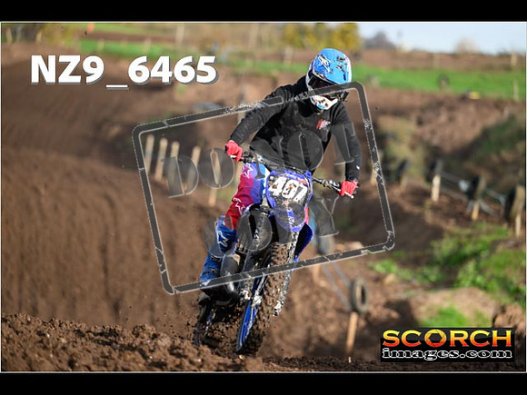 Experts-079