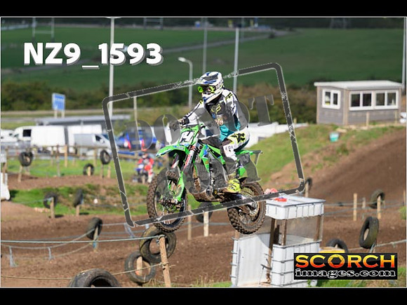 Experts-275