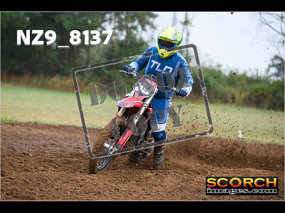 Experts-008
