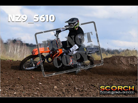 Experts-118