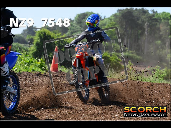 Inters Green Orange-074