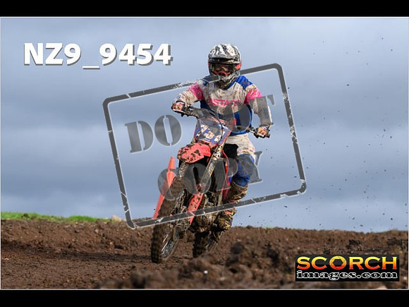 Experts-106