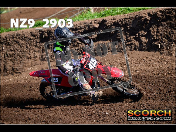 Experts-075