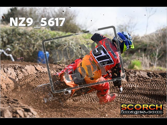 Experts-125